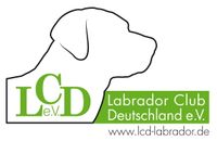 Logo LCD